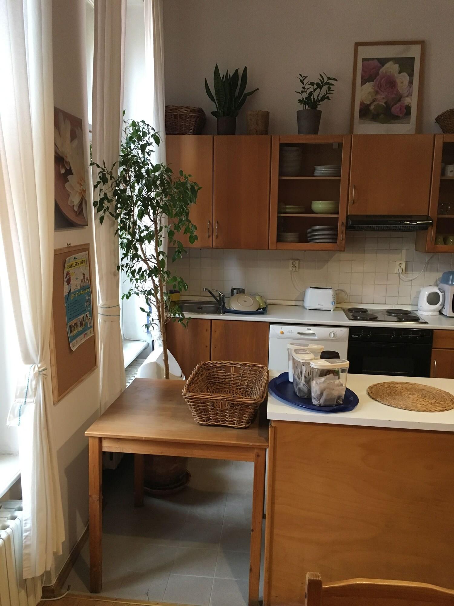 Rosemary Hostal